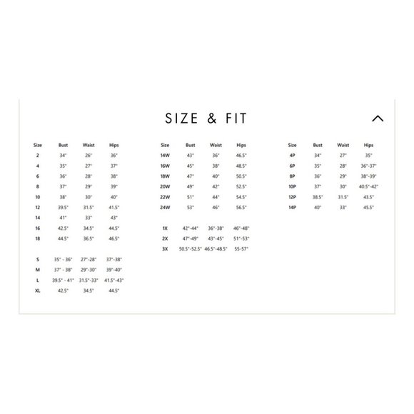 NWT R & M Richards Ivory Midi Length Mesh Sequin Dress w/ Godet Insets Size 12 - Picture 4 of 4